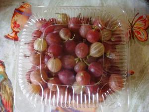 Крыжовник